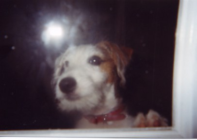 Photograph of Ryan Sheehan
