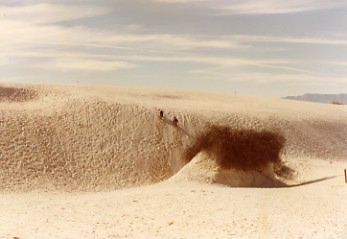Photograph of Ryan Sheehan